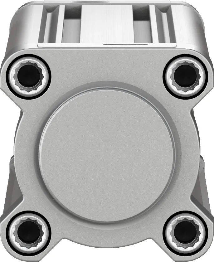 Пневмоцилиндр Festo DSBC-50-300-PPVA-N3 — вид 5
