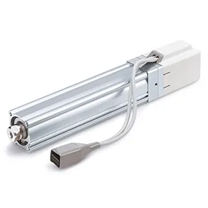 Штоковый с ШВП (24 VDC) - LEY, LE2Y, LEY-X#, 25A-LEY